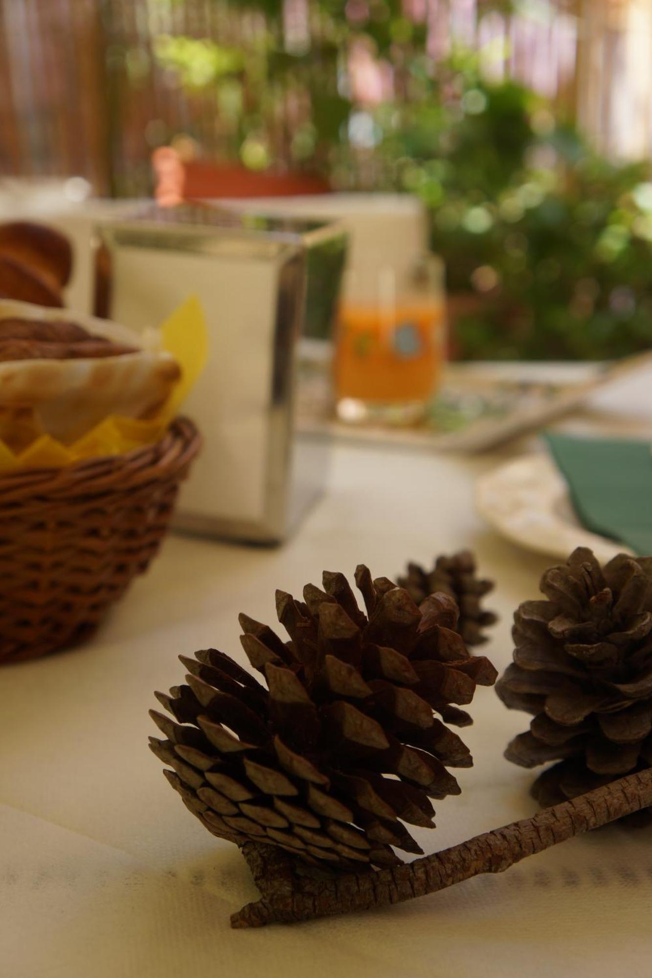 Santa Caterina Da Siena B&B Catane Extérieur photo